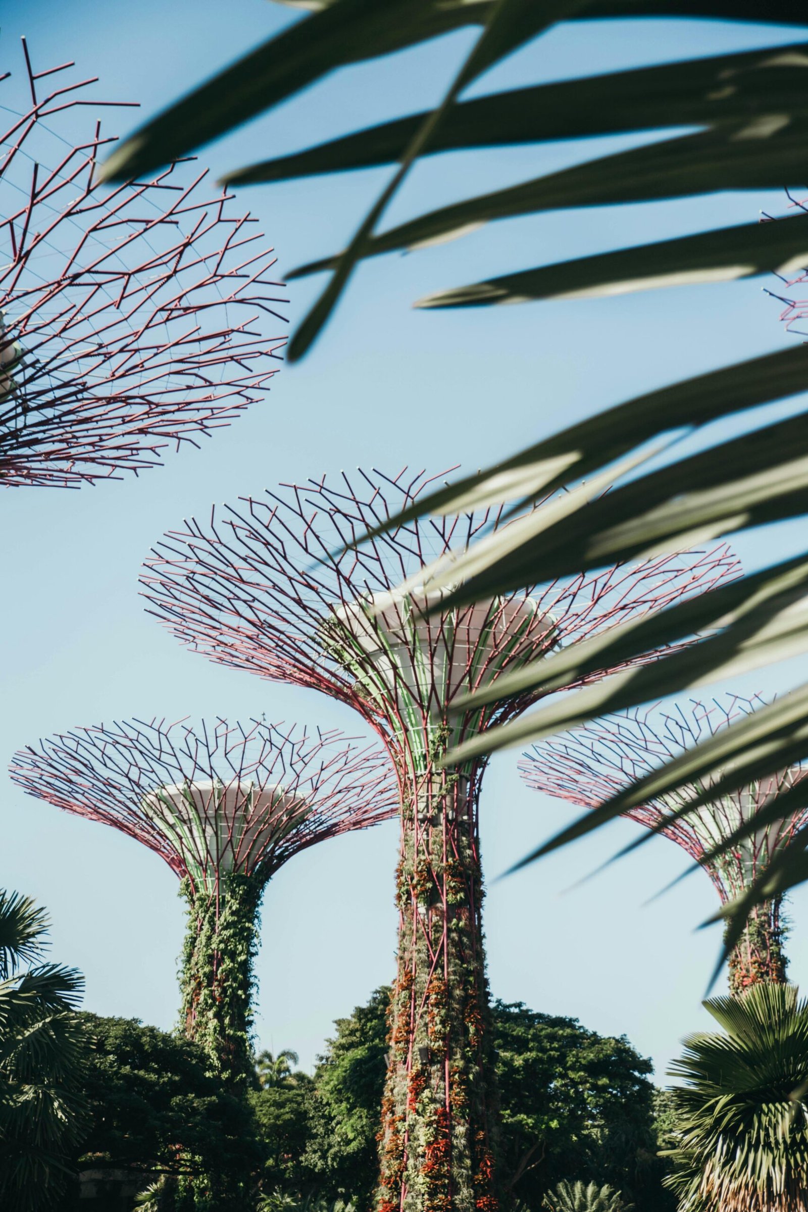 Garden by the Bay