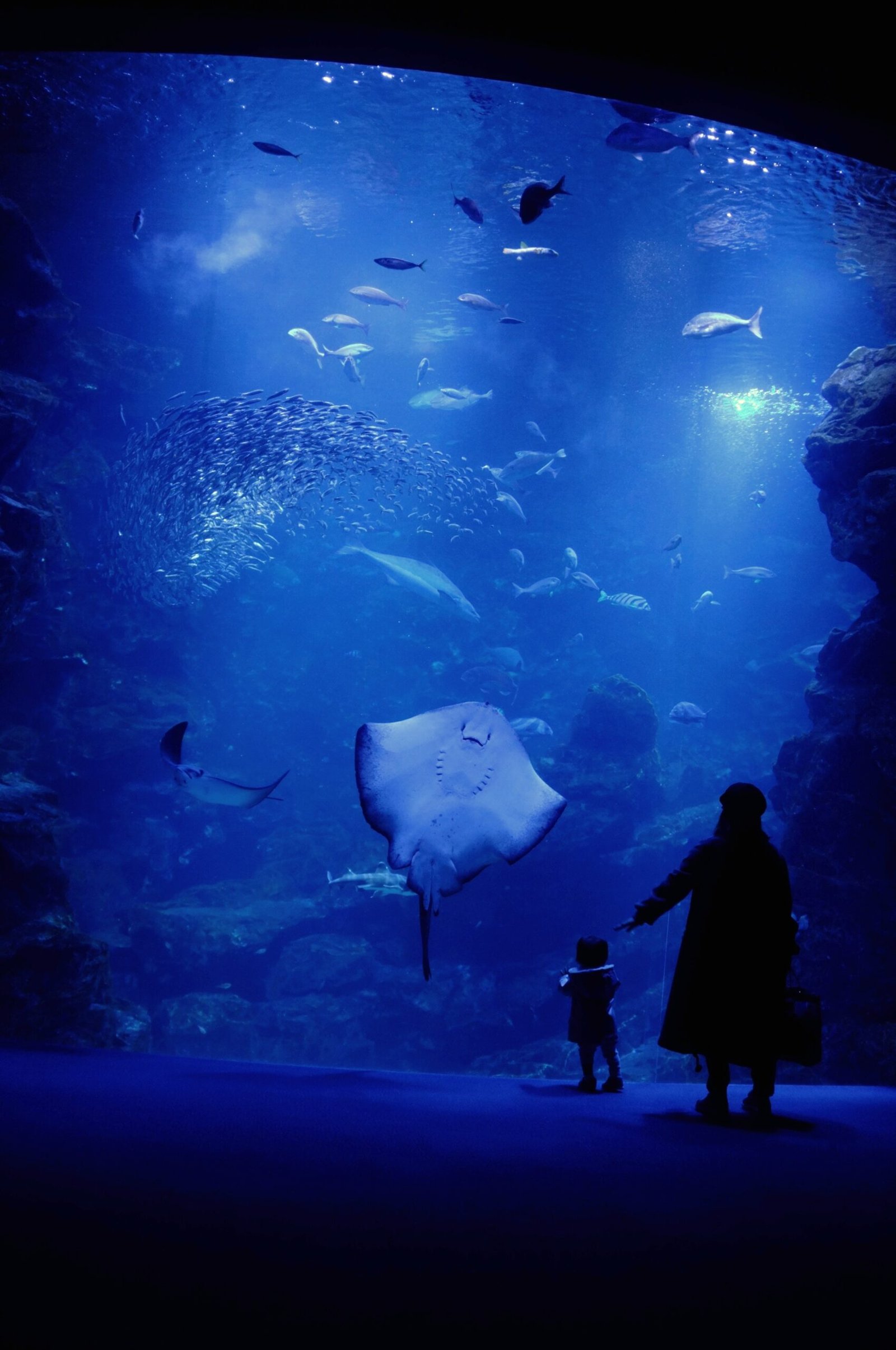 Sea Aquarium