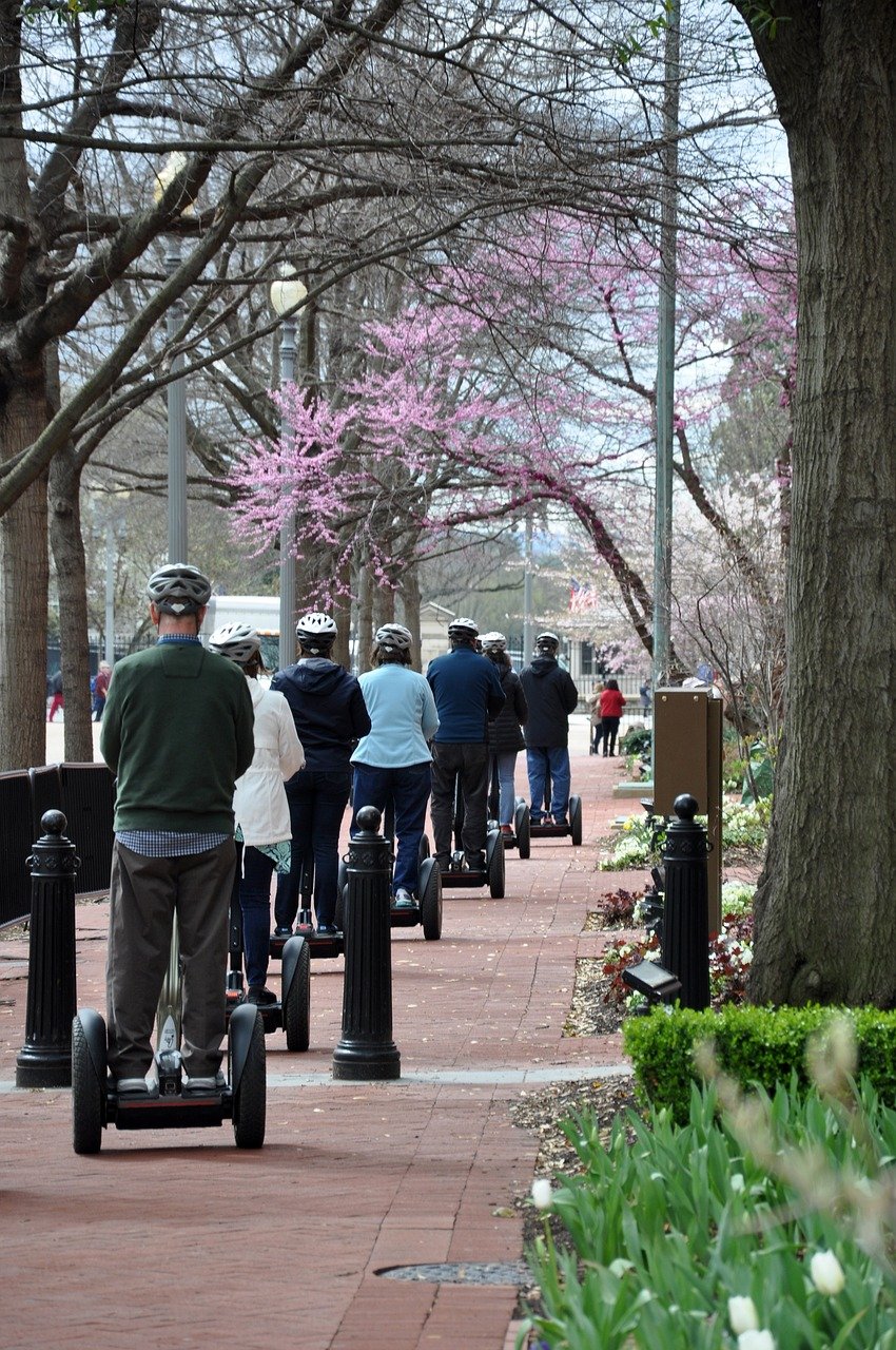 Segway Safari